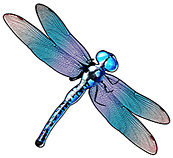 Dragonfly - symbol - Big Bass Bonanza