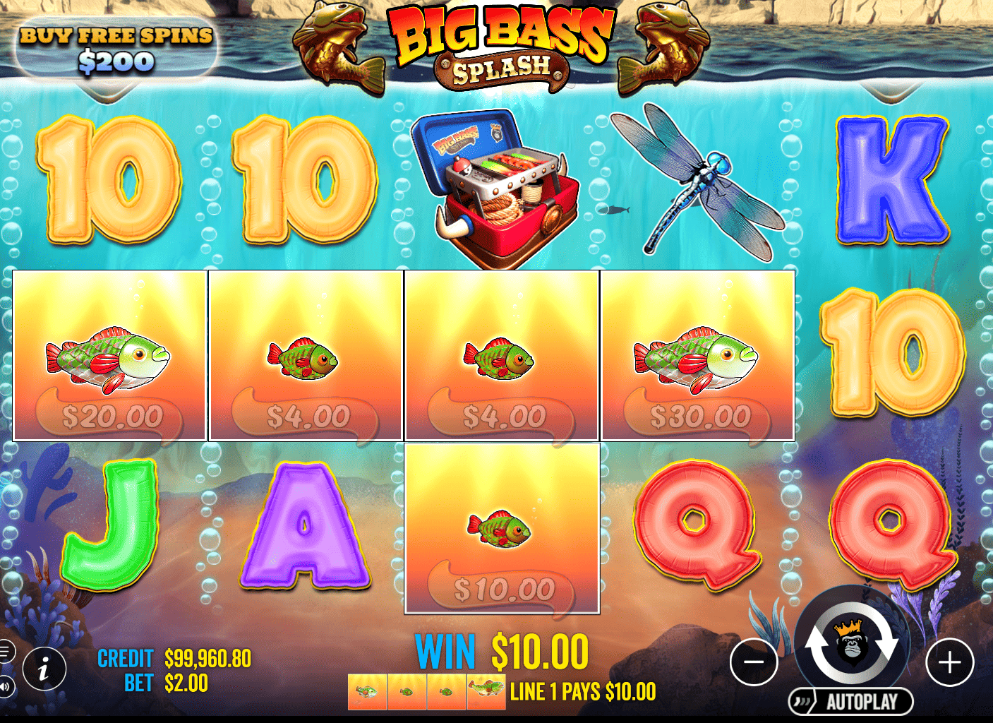 Big Bass Splash Slot - How Money Symbols Function