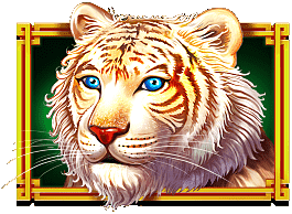 White Tiger - symbol - Dragon Tiger